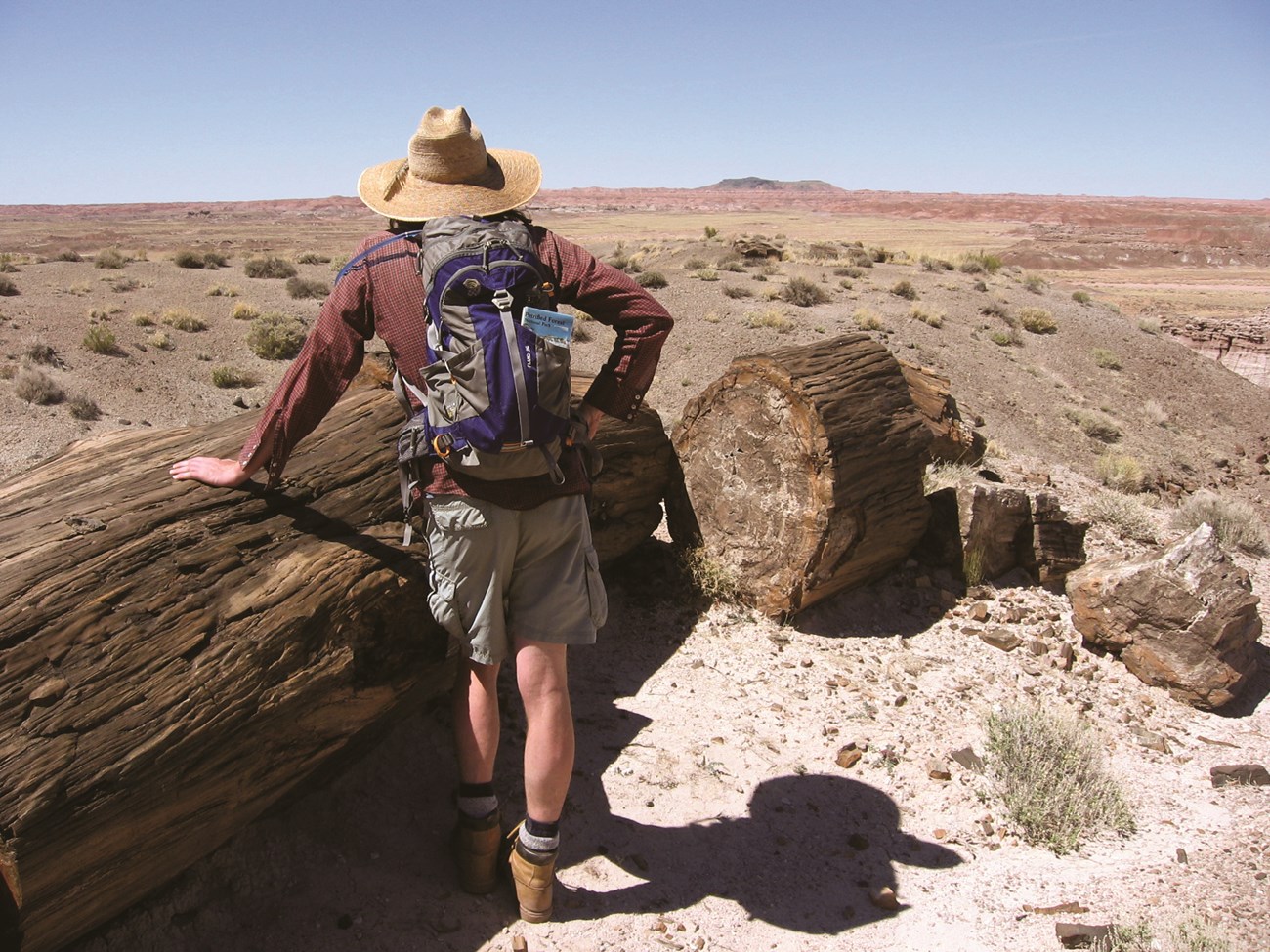 Man with backpack leans on a petrified log looking away to grassland under a blue sky.