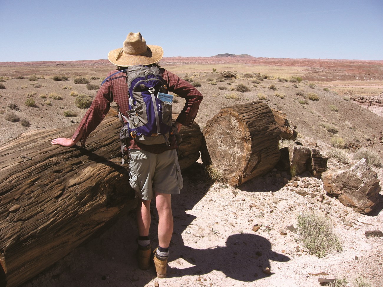 Painted Desert Hiker Man with backpack leans on a petrified log looking away to grassland under a blue sky.