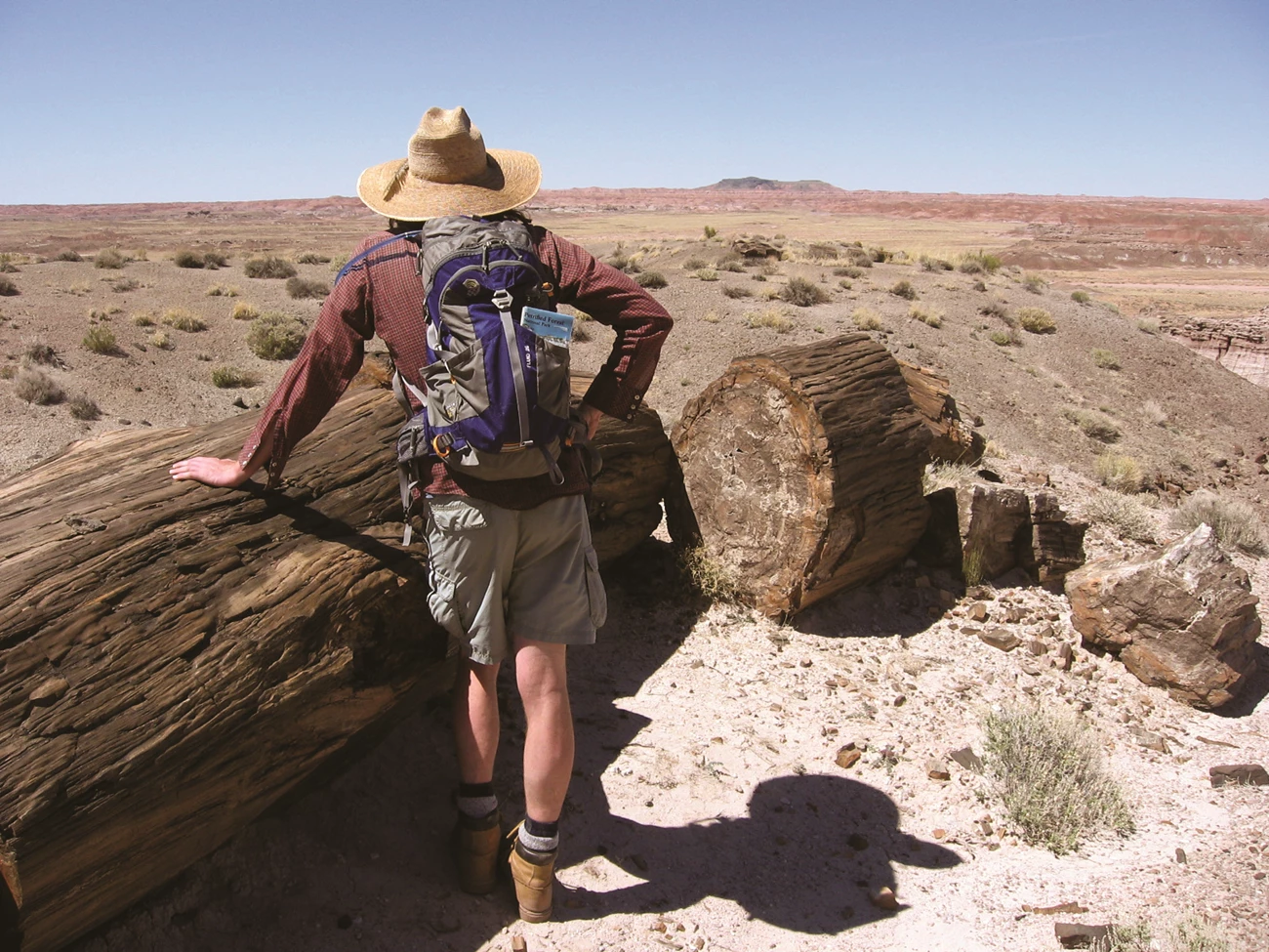 Painted Desert Hiker Man with backpack leans on a petrified log looking away to grassland under a blue sky.