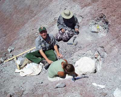 excavation site