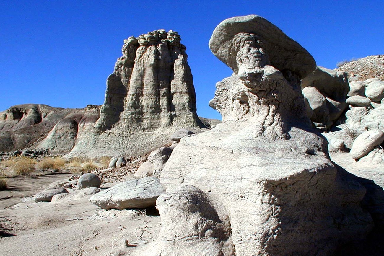 Scenics - Petrified Forest National Wilderness Area Devil's Playground Scenics - Petrified Forest National Wilderness Area Devil's Playground