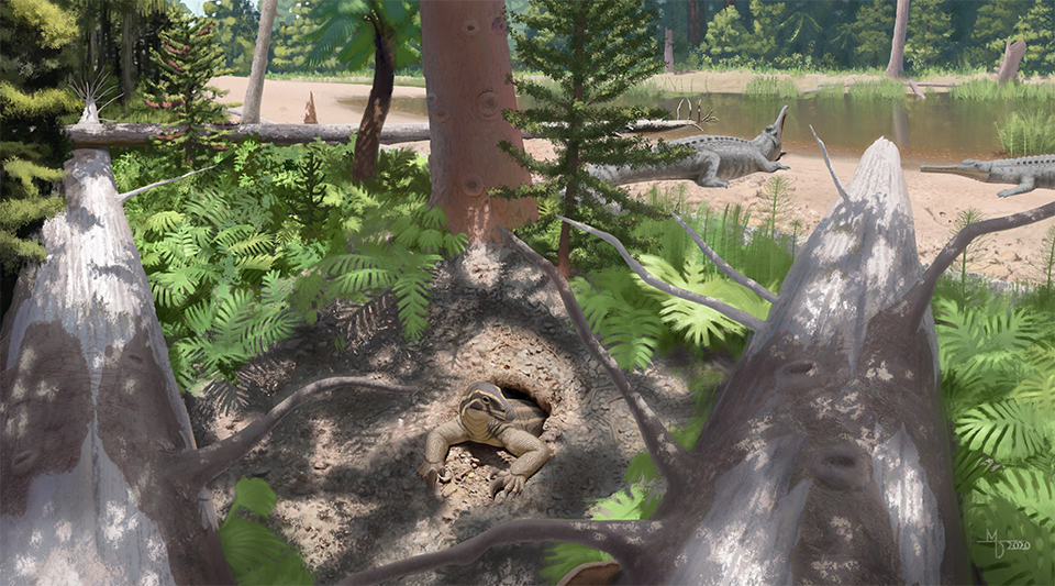 A lush forest of conifer trees and ferns. Between two fallen logs, a reptile called Skybalonyx skapter emerges from a hole. It looks similar to a Gila Monster. Near a lake two crocodile-like phytosaurs bask in the sun.