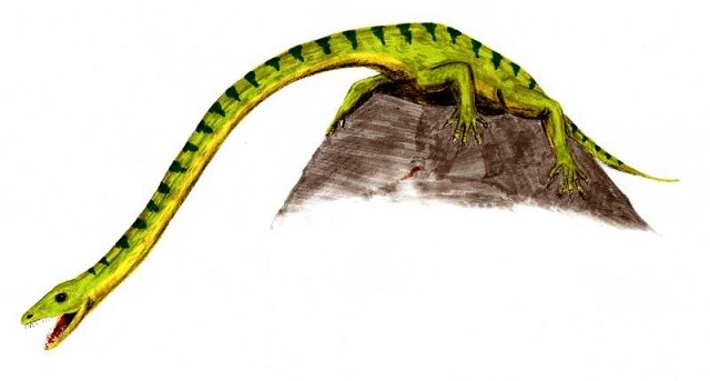Reconstruction of Tanystropheus by Arthur Weasley