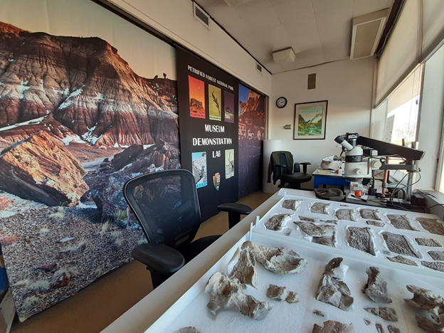 A view inside the demonstration lab which contains microscopes and rows of fossils resting in a Styrofoam bed.