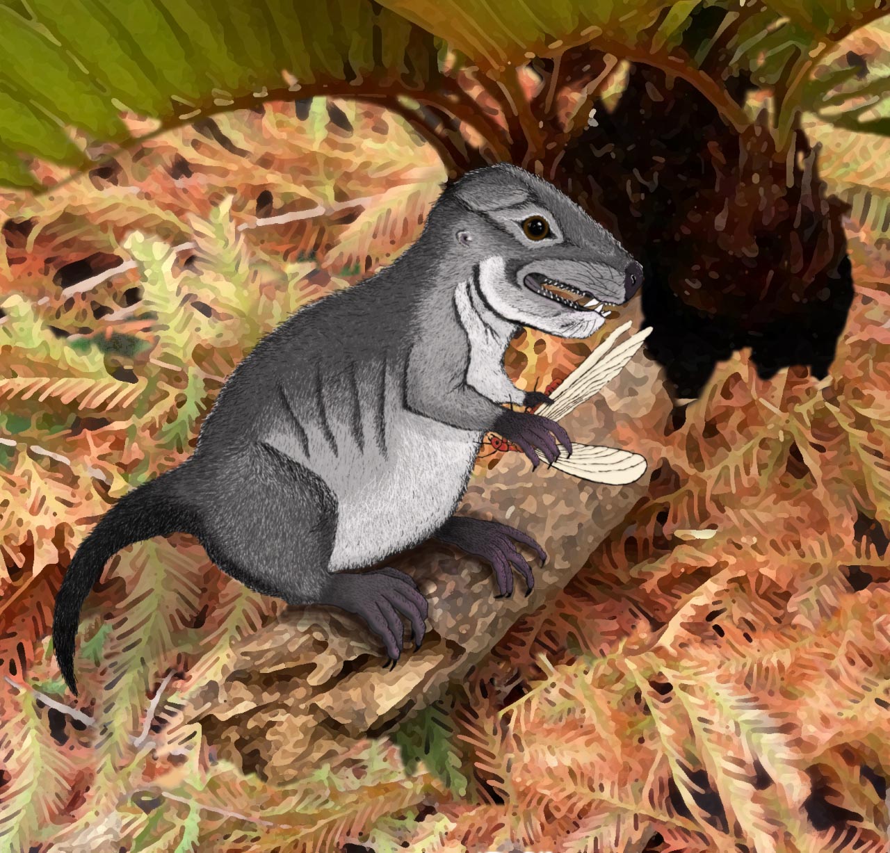 Artist rendering of Kataigidodon venetus eating a small insect. In a bed of fern leaves, a small, gray and white squirrel-like mammal relative prepares to eat a dragonfly.