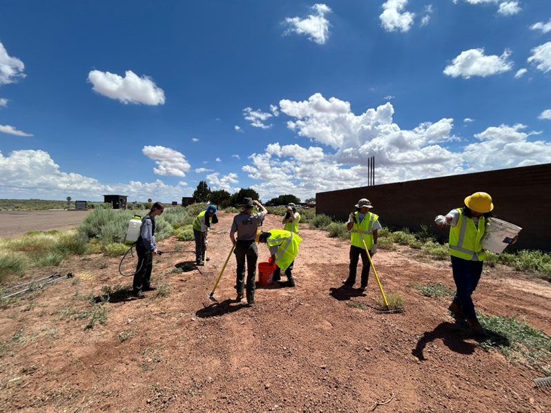 Weeding and planting seeds as part of a vegetation restoration project in the North Complex of the Petrified Forest NP. Weeding and planting seeds as part of a vegetation restoration project in the North Complex of the Petrified Forest NP.