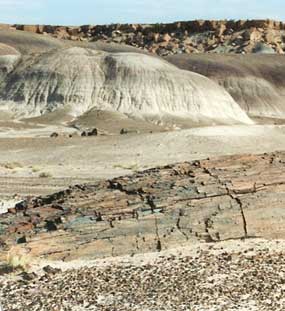 badlands with petrified wood in foreground