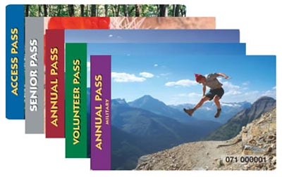 Fees Passes Petrified Forest National Park Us