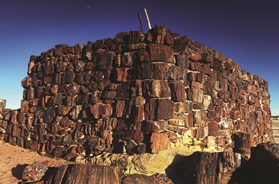 Petrified wood chunks make up the walls of the ancient Agate House