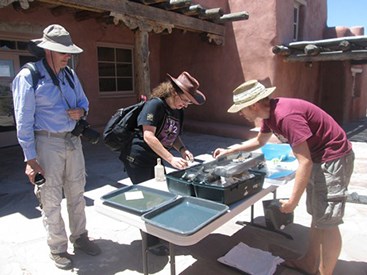 artist and visitors work together in sunlight artist and visitors work together in sunlight