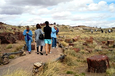 Visitors walk through the petrified wood along Giant Logs Trail