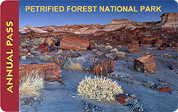 PEFO Annual Pass Front