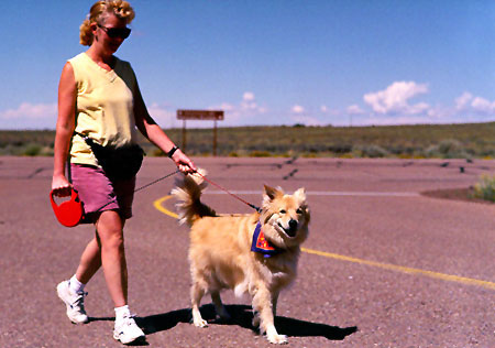 Walking in our pet friendly park Walking in our pet friendly park