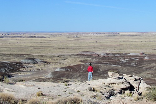 Visitor at Blue Mesa