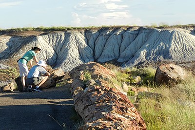 Two hikers stop to look at petrified logs along Crystal Forest Trail