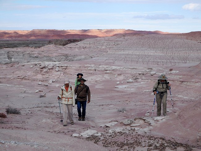 Hikers on the Wilderness Loop