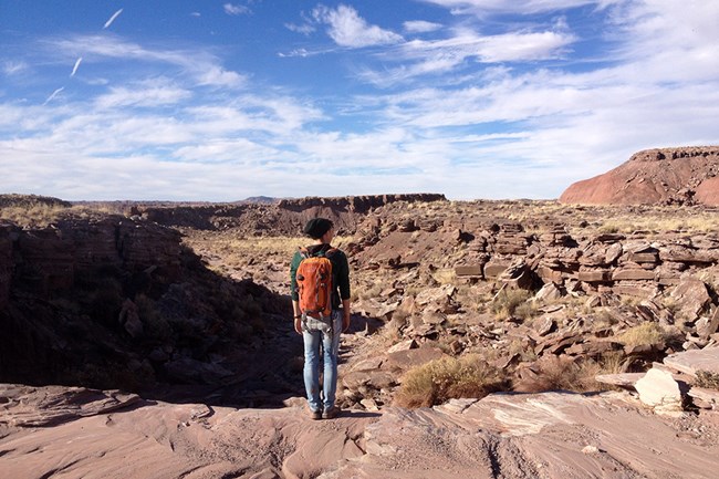Solo hiker among red mesas in the wilderness area