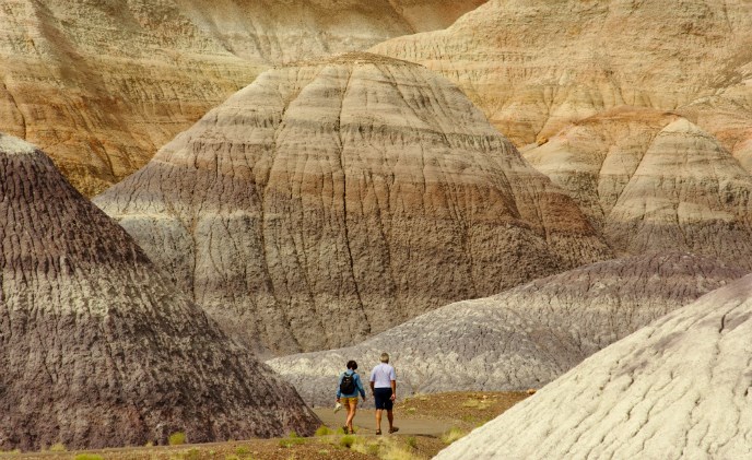 Hikers on the Blue Mesa Trail