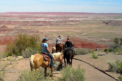 Horses on the Wilderness Access Trail