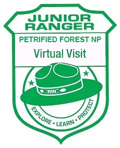 pefo Virtual JR Cancellation SMALL 1