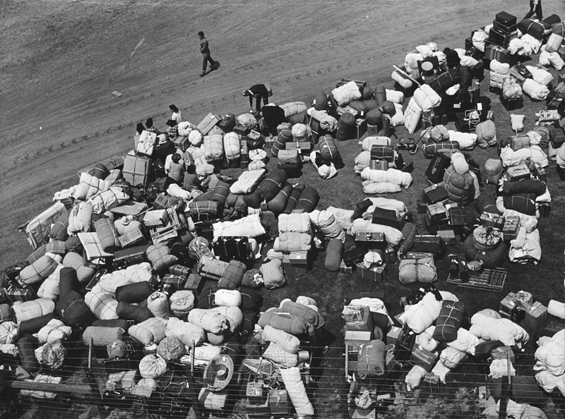 Overhead photo of many suitcases.