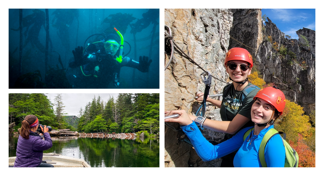 Collage of three photos 1) A scuba diver waves in a kelp forest wearing a yellow mask and snorkel.
2) Two females hang on the side of a mountain in climbing gear.
3) A white female wearing a purple jacket sits on a skiff while facing a fish weir, taking photos of bears.