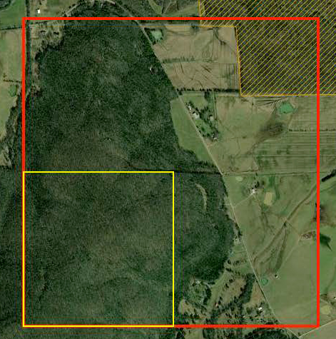 Satellite view of Steward homestead showing its all forest in 2024