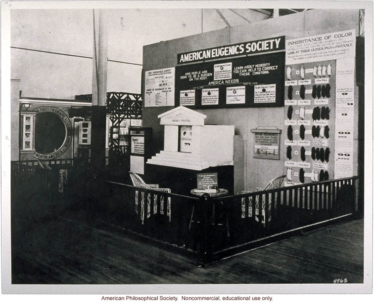 American Eugenics Society Exhibit at Philadelphia Sesquicentennial Exhibition, 1926