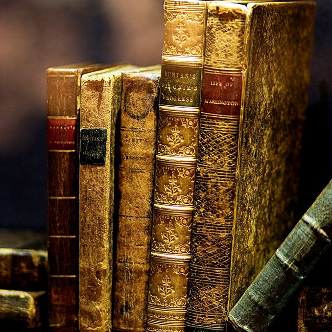 8 old books  from the early 1800s like the ones Abraham Lincoln would have read