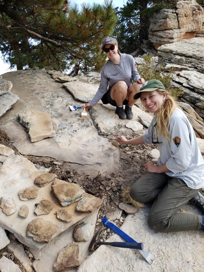 Two paleontologists at a fossil outcrop in Grand Canyon surrounded by tools and rock samples.