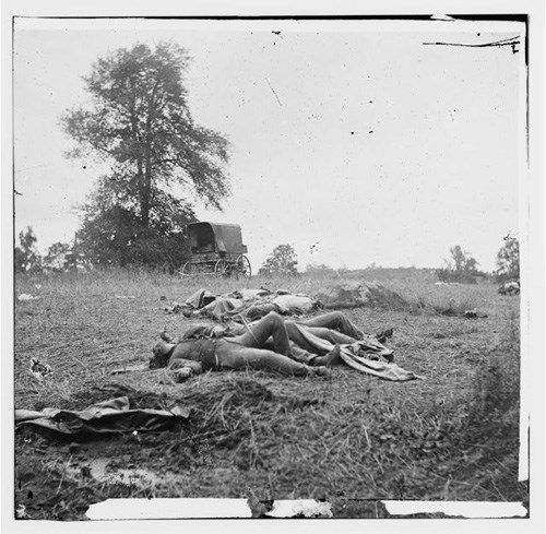Dead on the Gettysburg Battlefield Dead on the Gettysburg Battlefield
