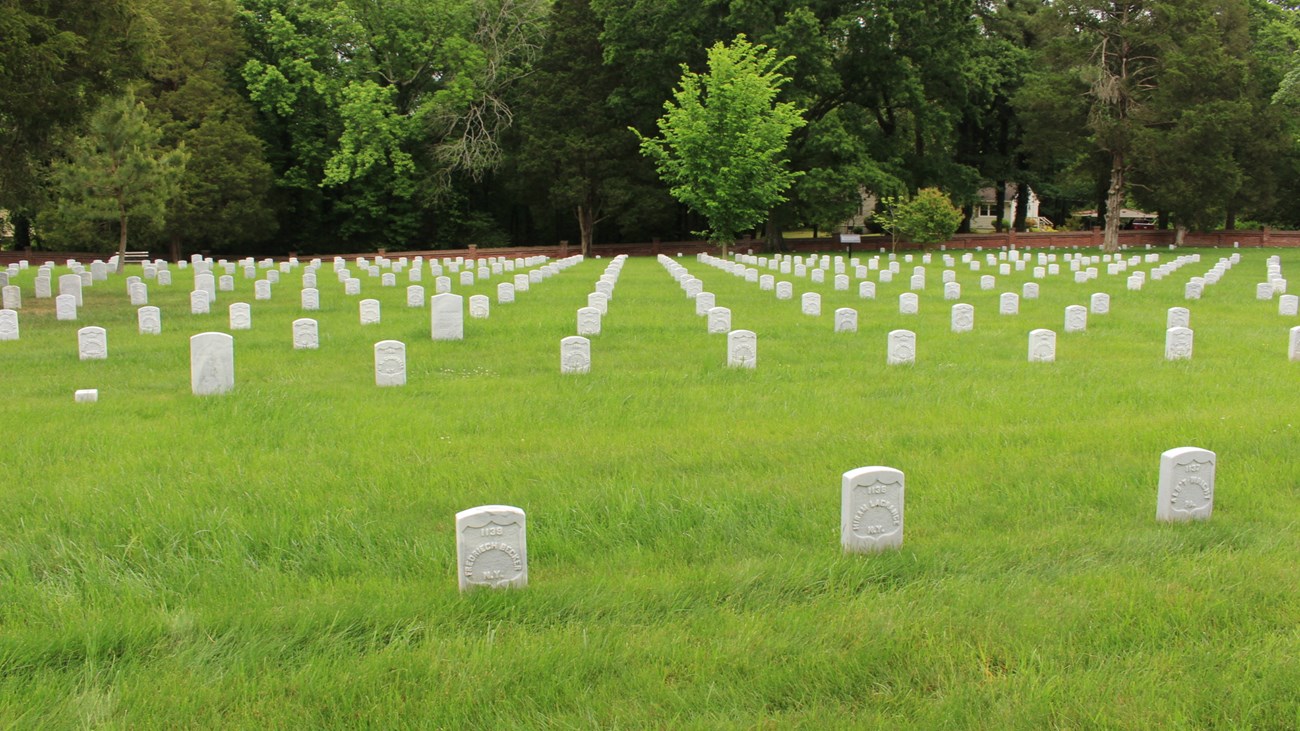 White granite headstones in straight lines surrounded by green grass.