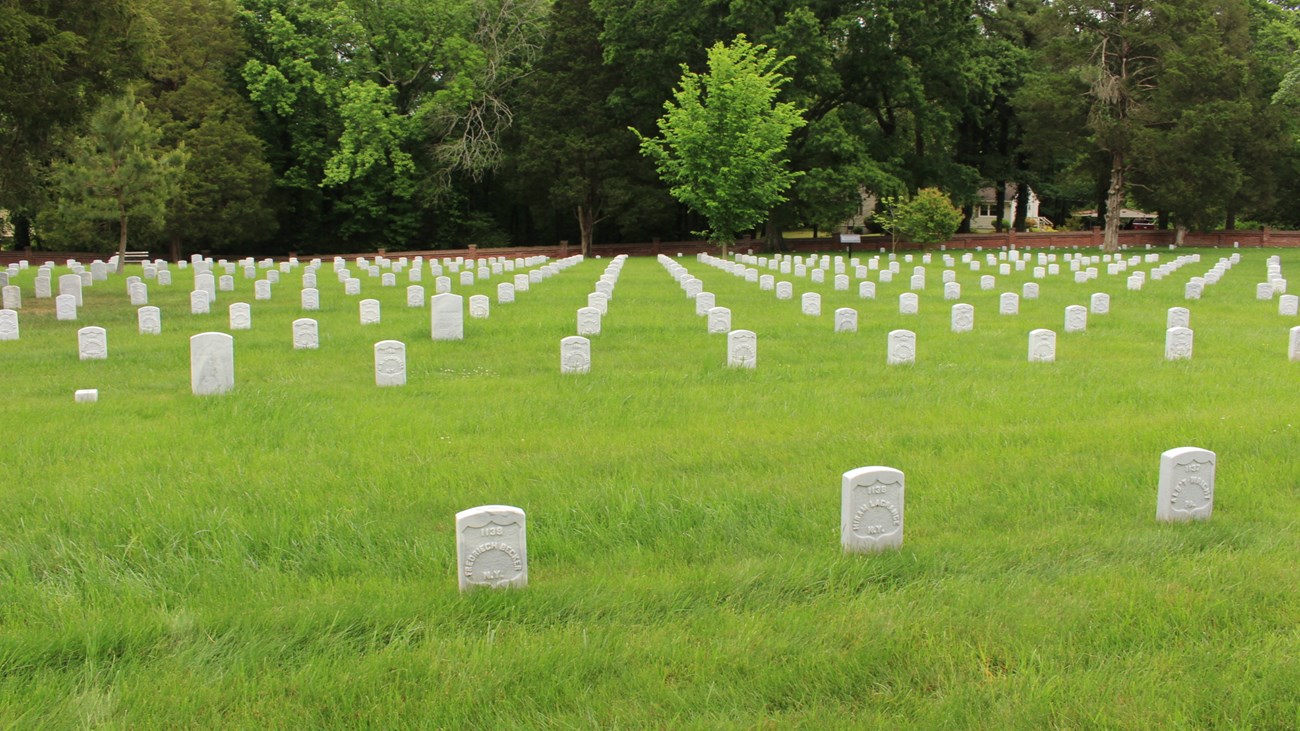 White granite headstones in straight lines surrounded by green grass.