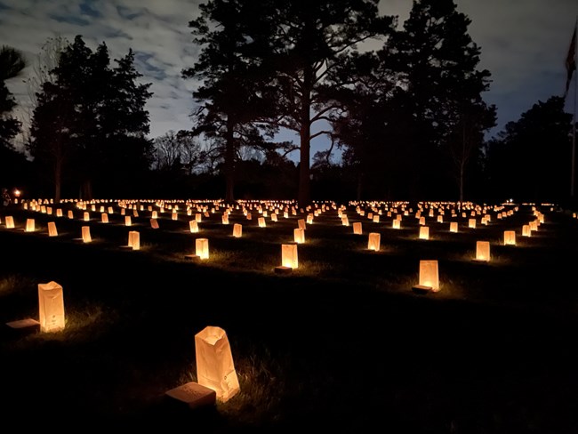 A large tree is illuminated by the moon while luminaries stand in front of hundreds of headstones.