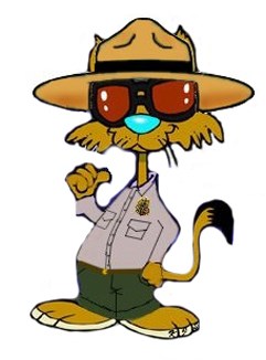 cat cat