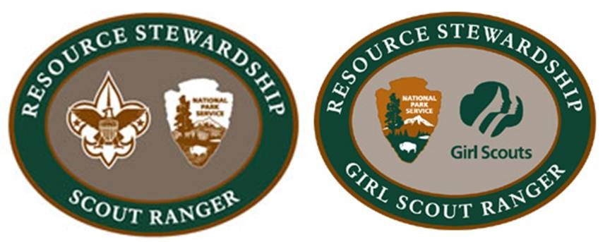 Stewardship Patches