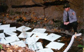 Petersburg Employee Contains a Fuel Spill as it Comes into the Park