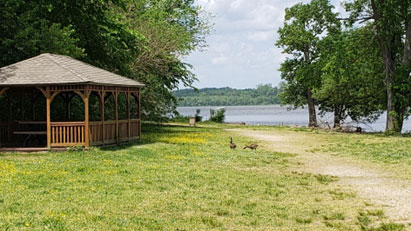 Two geese stand on a dirt trail between a pavilion and river shoreline.