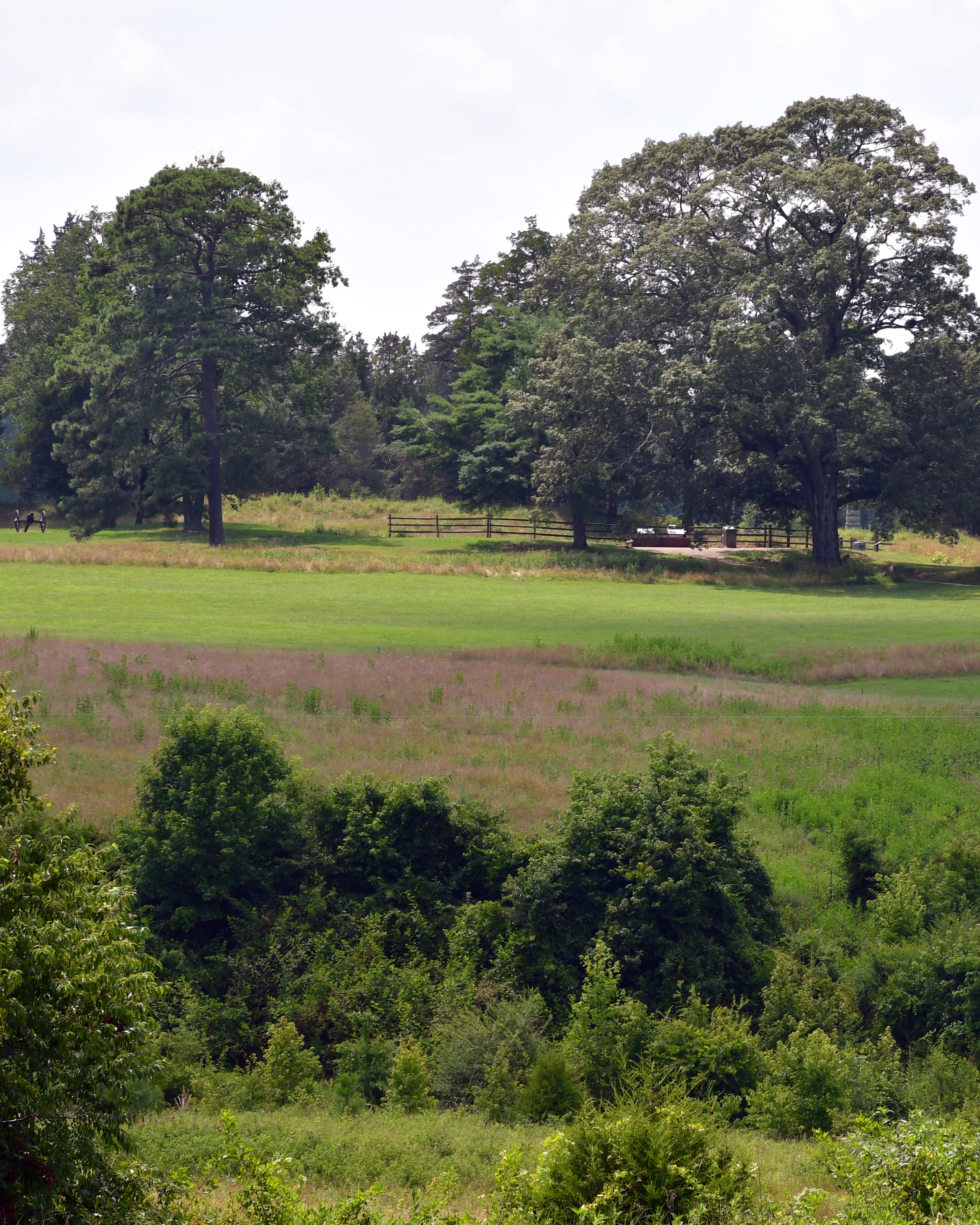 The Crater Battlefield - a green field surrounded by tall trees.