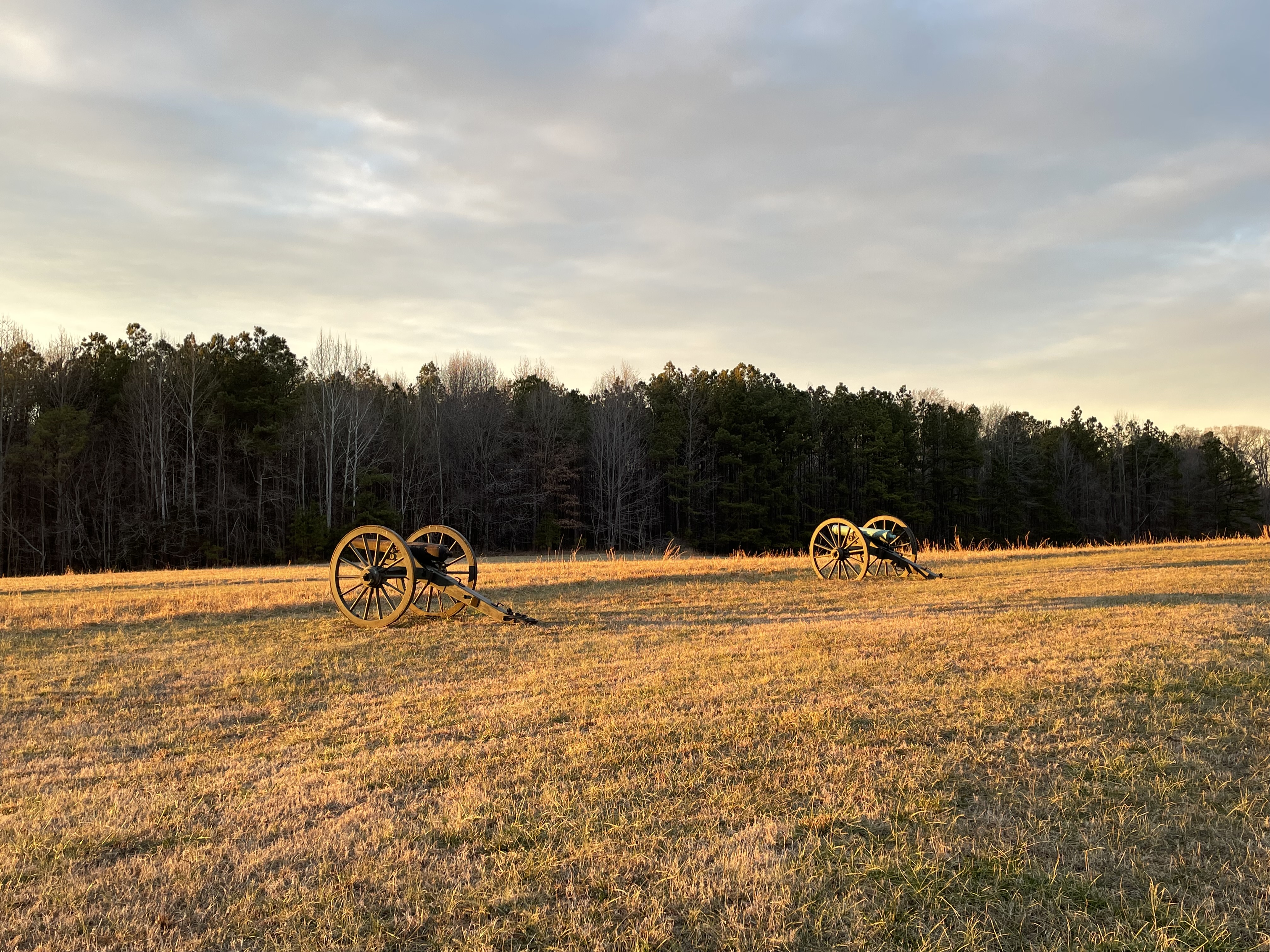 Two cannons in the golden glow of sunset with a line of derk trees on the horizon and a sliver gray sky.