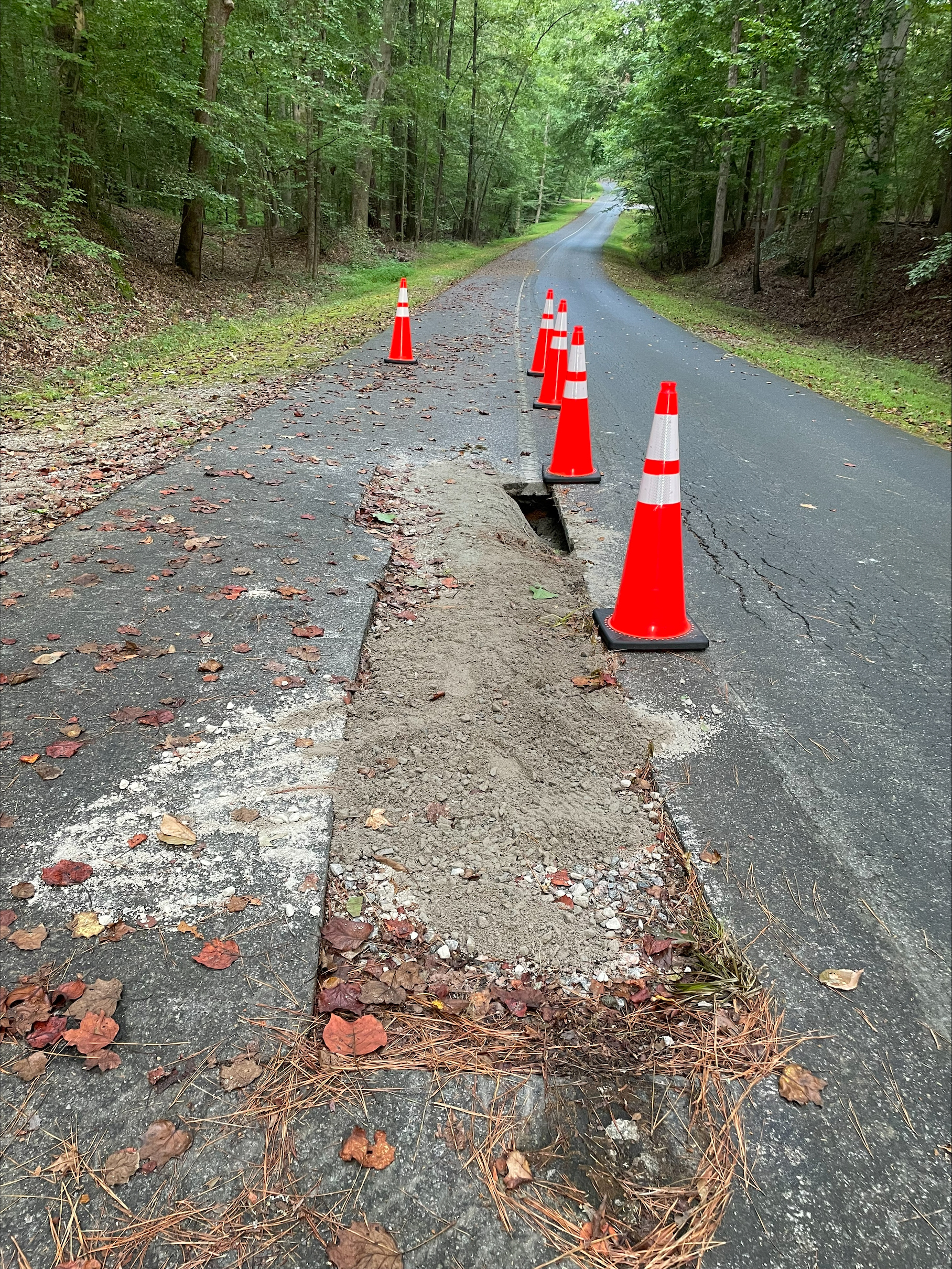 Tour Road Sinkhole Five bright orange cones mark a hole in a road.