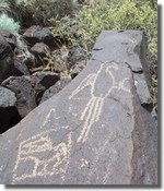 Petroglyphs of two macaw parrots, one in full profile view and the other also in profile view but depicted in a cage with handle.