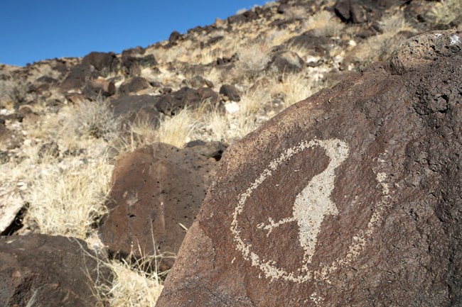 Petroglyph of a hummingbird on a dark boulder.