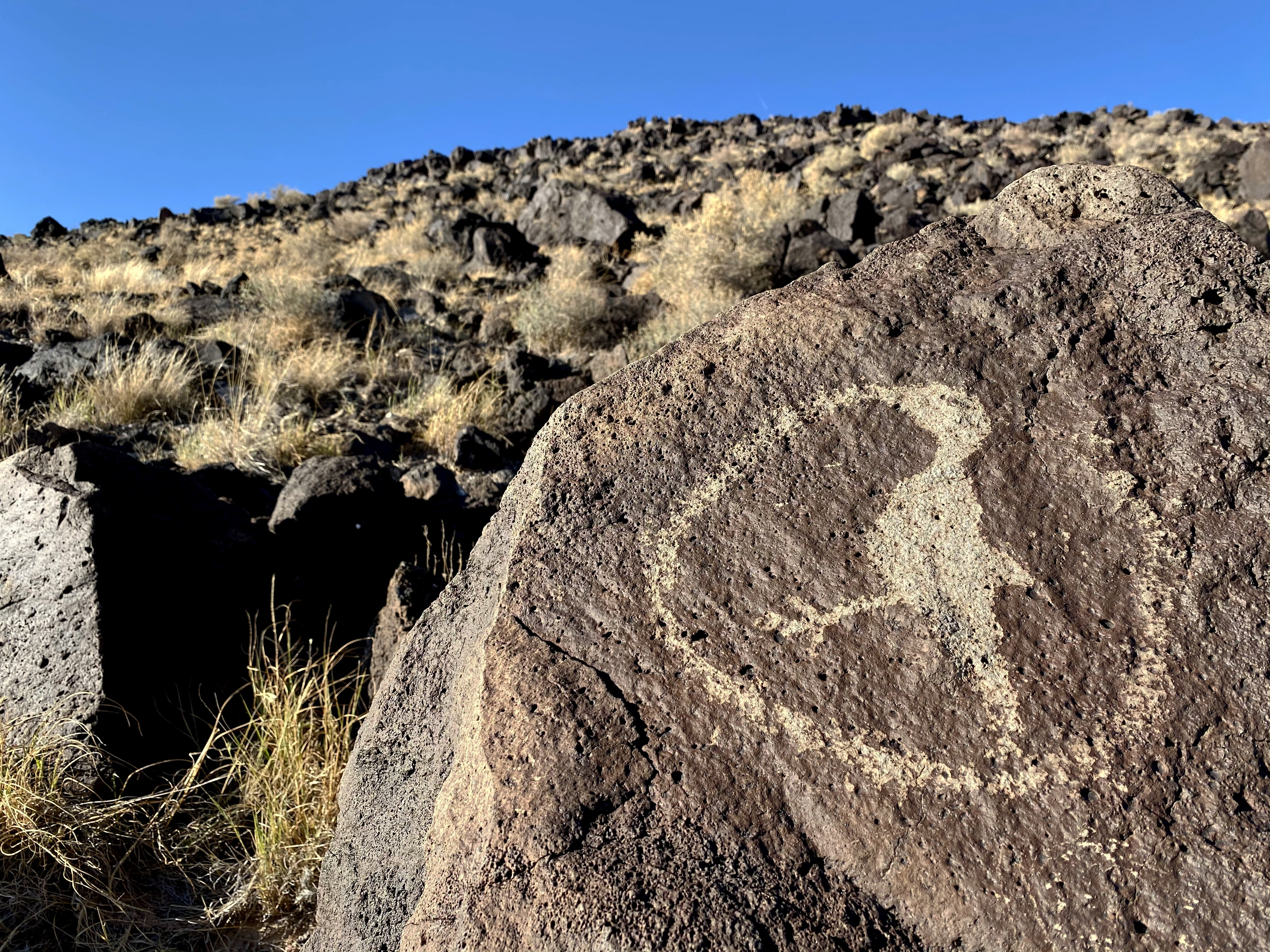 Rinconada Canyon Trail - Petroglyph National Monument (U.S. National Park Service)