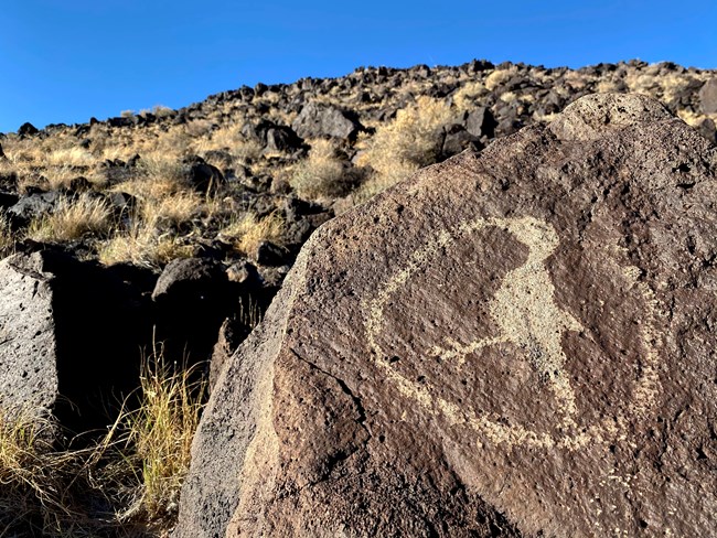 A petroglyph of a bird on a dark boulder.