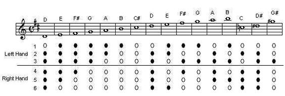 Musical notes and finger chart Musical notes and finger chart