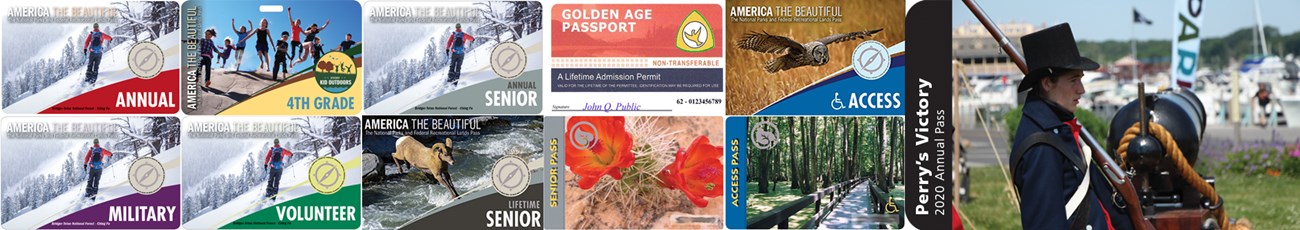 Images of the eight passes accepted at the Memorial: clockwise from top left Annual, 4th Grade, Senior Annual, Senior Lifetime, Perry's Victory Annual, Access, Volunteer, Military Annual.