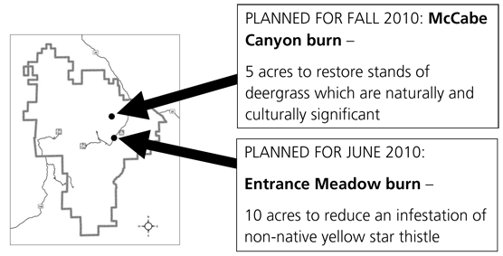 2010 Rx Burn Map