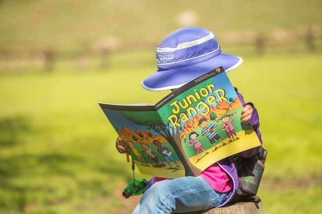 A young girl reads the Junior Ranger book.