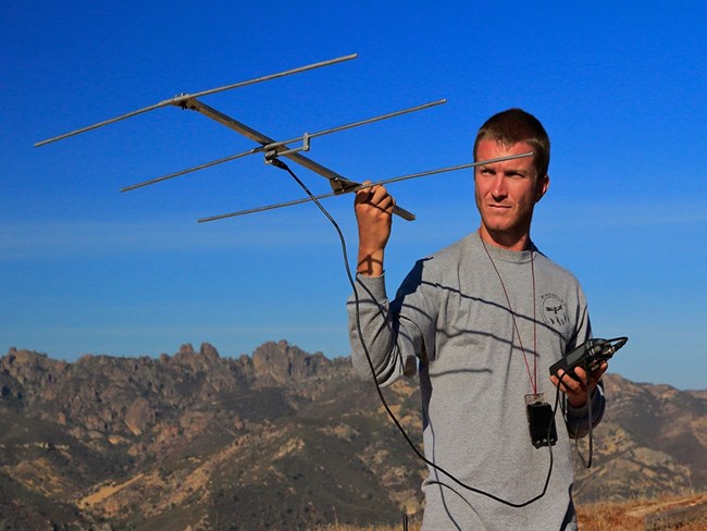 Condor crew member tracking.